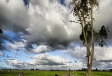 咖啡磨豆机排行榜,咖啡磨豆机哪个牌子好